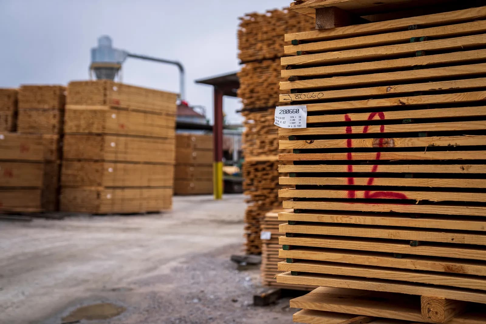 Pilas de madera en un patio exterior